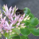 veraenderliche
Hochgeladen am 01.07.2015 von BuchnerJ