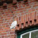 Eingang Hornissennest
Hochgeladen am 24.07.2015 von Christine1