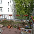 
DSC01776
Hochgeladen am 09.04.2017 von Christine1