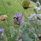 
Sept15 087
Hochgeladen am 19.09.2015 von Christine1