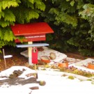 2017-Imbiss und davor: Überwinterungsplatz einer Erdhummelkönigin
Hochgeladen am 22.01.2017 von Doris
