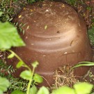 Schwegler-Igelkuppel, in die eine Ackerhummel eingezogen ist - Reinfeld, 11.05.14
Hochgeladen am 13.05.2014 von Hartwig