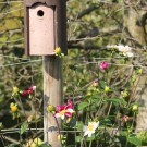 Herbst
Hochgeladen am 19.10.2015 von Luca
