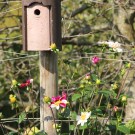 Herbst
Hochgeladen am 19.10.2015 von Luca