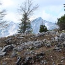 Vorfrühling im Mittel-Gebirge.
Hochgeladen am 02.05.2014 von Luk