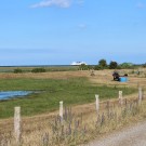 
Mooshummelsuche auf Fehmarn
Hochgeladen am 20.06.2016 von Matze