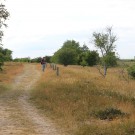 Habitat Fehmarn 3
Hochgeladen am 21.06.2016 von Nahid