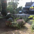 20 m² Hummelblumen statt Rasen :)
Hochgeladen am 03.10.2014 von Nahid