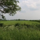 Blick auf die große Wiese
Hochgeladen am 10.06.2016 von Nahid