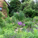 Nahids Garten 1 Jahr nach Pflanzung
Hochgeladen am 28.05.2016 von Nahid