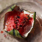 "Wespenkunstwerk" Wassermelone, Gemeine Wespe, 18. Juli 2022.
Hochgeladen am 19.07.2022 von Petra