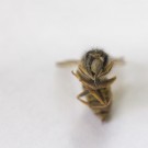 Tote, wahrscheinlich, Sächsische Wespe, 6. Juli 2015
Hochgeladen am 06.07.2015 von Petra