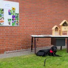 Der kleine Wildbienen-Infostand ist bereit für die Besucher, 8. April 2017
Hochgeladen am 09.04.2017 von Petra
