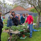 Martins Wildbienenplanzenstand, 8. April 2017
Hochgeladen am 09.04.2017 von Petra