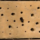 Schwarzes Pelzbienenweibchen im Anflug auf Lößwand, 8. April 2017
Hochgeladen am 09.04.2017 von Petra