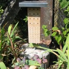 Wildbienenhotel
Hochgeladen am 29.08.2015 von RalfH