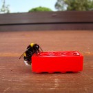 
Erdhummel 1
Hochgeladen am 05.07.2015 von Uschi