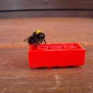 
Erdhummel 2
Hochgeladen am 05.07.2015 von Uschi