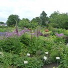 
Garten der Horizonte 5
Hochgeladen am 01.07.2015 von Uschi